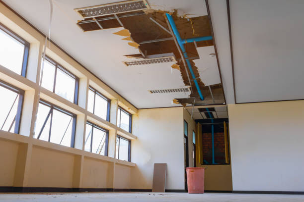 Best Carpet water damage restoration  in Summerlin South, NV