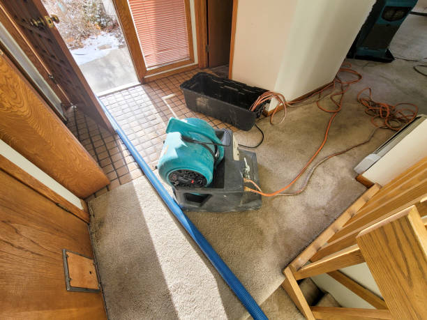 Best Residential water damage restoration  in Summerlin South, NV