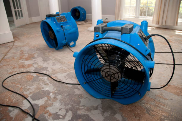 Best Emergency water extraction  in Summerlin South, NV